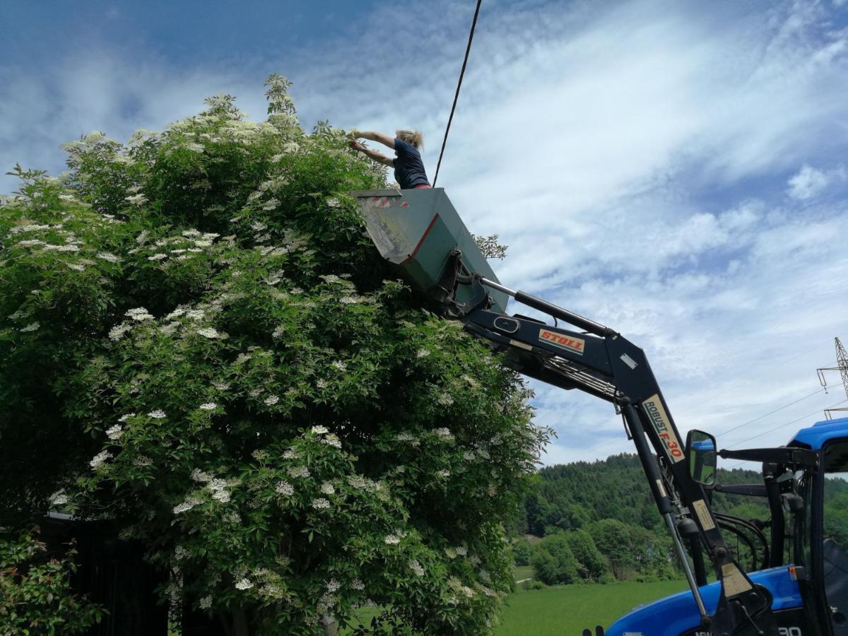 Ferienwohnungen Oranhof Velden am Woerthersee Luaran gambar
