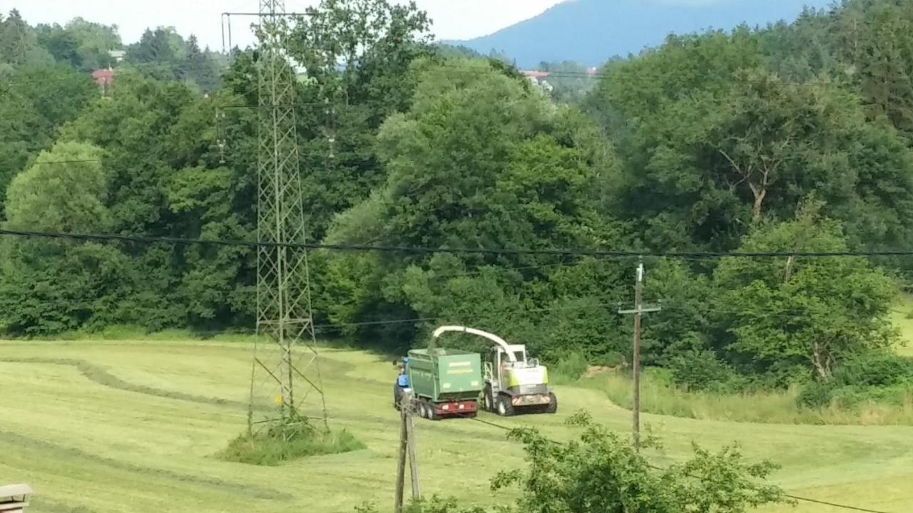 Ferienwohnungen Oranhof Velden am Woerthersee Luaran gambar
